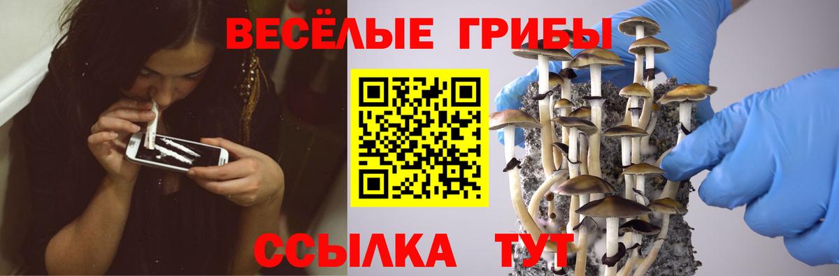 Псилоцибиновые грибы мицелий  Вход с VPN  Павловский Посад 